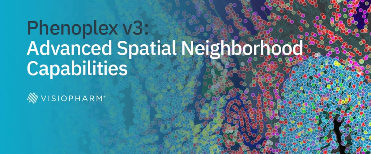 Phenoplex v3: Revolutionizing multiplex image analysis with advanced spatial neighborhood capabilities  